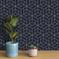 VaryPaper Navy Blue Hexagon Geometric Wallpaper