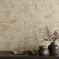 VaryPaper Tan Cracked Concrete Wallpaper