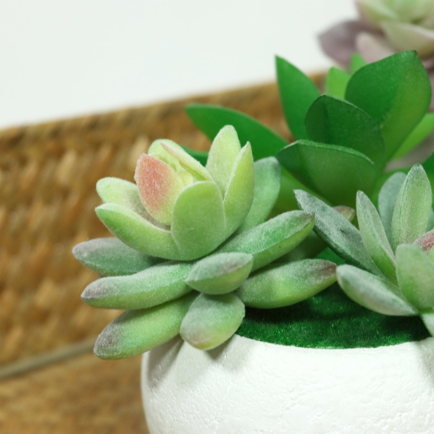 VaryStyle Artificial Succulent Plants Potted